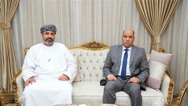 وزير العمل يعرض جهود مصر في حماية وتدريب العمال