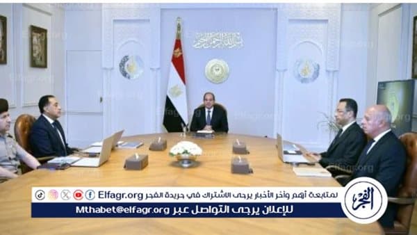 السيسي يوجه لتطوير استثمارات الذكاء الاصطناعي