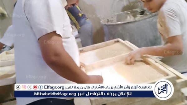 المنيا تضبط أطنان من السلع الفاسدة