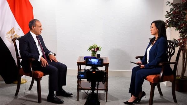 وزير الخارجية: مصر تساند القضية الفلسطينية