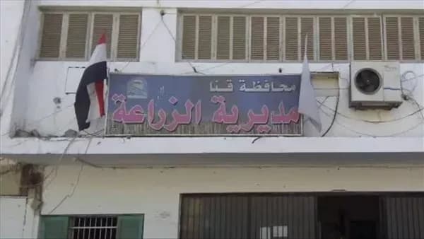 زراعة قنا تبدأ حملة لمكافحة الفئران