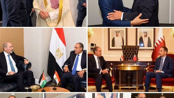 وزير الخارجية يتركز على القضايا العربية في الأمم المتحدة