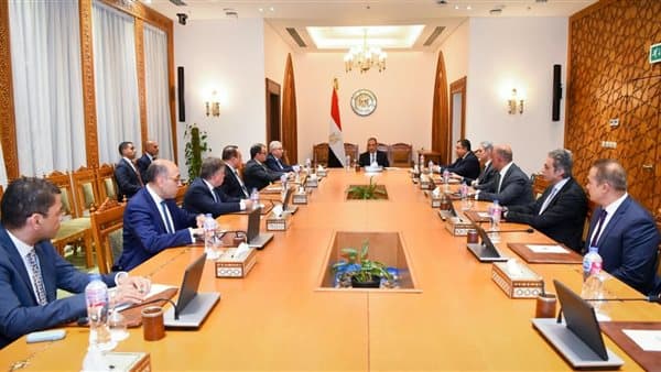 وزير الخارجية يتابع جهود الأزمات الإقليمية