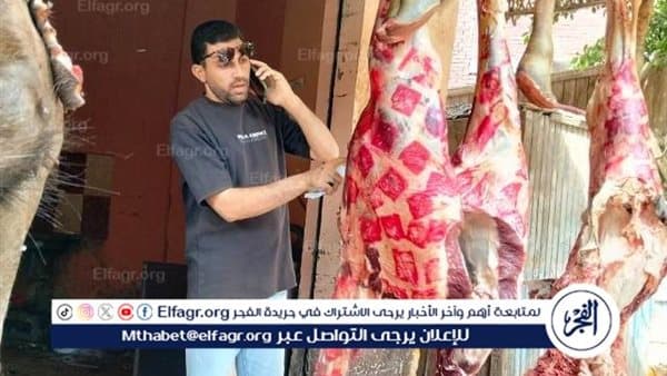 حملات على محال جزارة ومخابز ببني سويف ويحرر 68 محضرًا