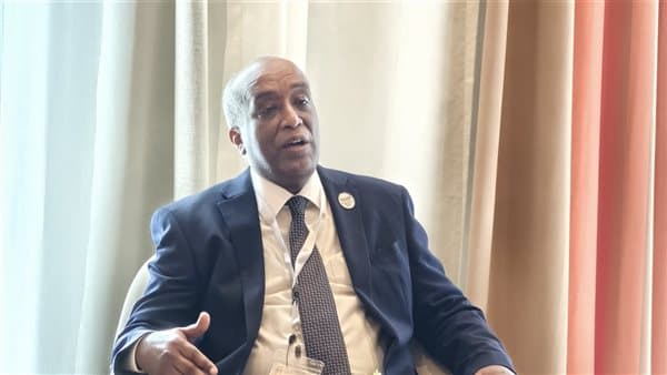 قمة العلمين وتعزيز التنمية الإفريقية