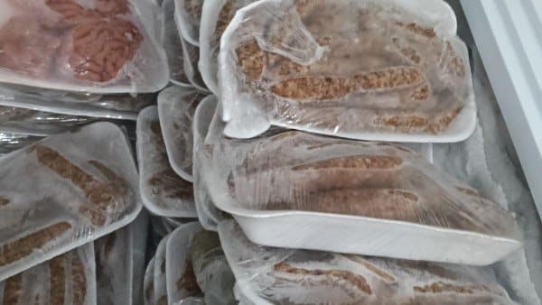 الزراعة تضبط 175 طن لحوم مخالفة في سبتمبر