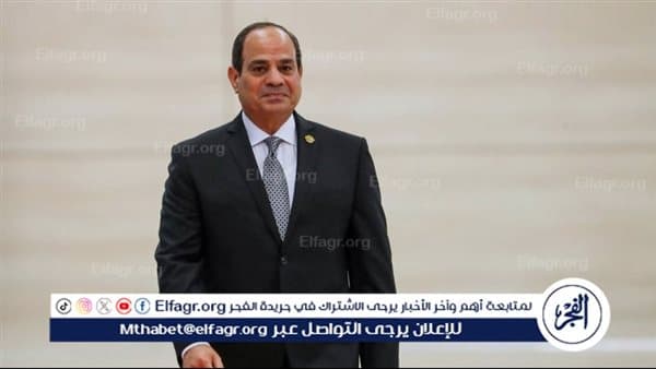السيسي يؤكد تعزيز دور القطاع الخاص في التنمية الأفريقية
