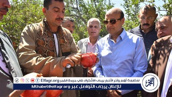أسيوط تتفقد حصاد الرمان في بويط