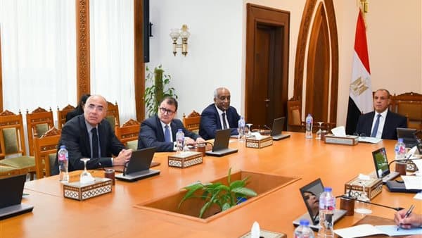وزير الخارجية يناقش تطوير برامج الوكالة المصرية للتنمية