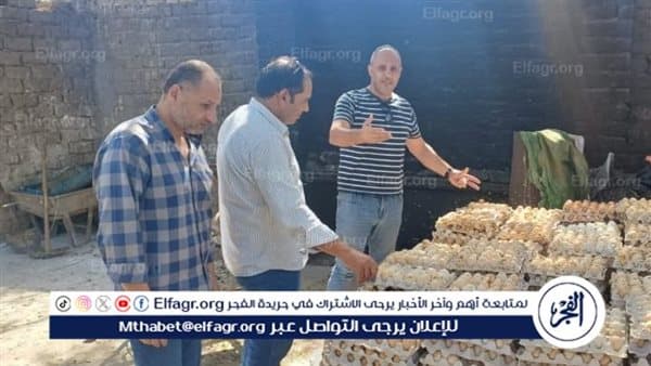 ضبط 105 آلاف بيضة فاسدة في الغربية