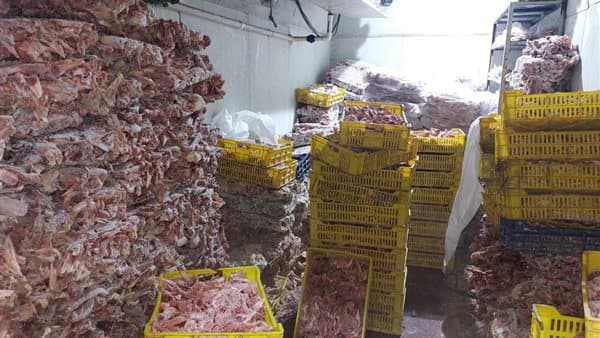 حملات تموين الجيزة تكشف مخالفات بملايين