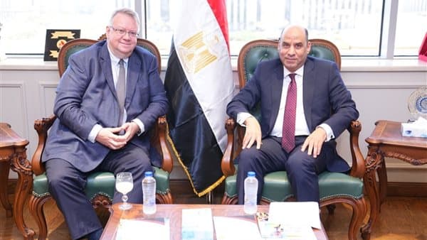 مصر تناقش 6 ملفات مهمة مع العمل الدولية