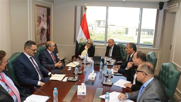 وزير الكهرباء يستقبل وفد فنلندي لبحث التعاون