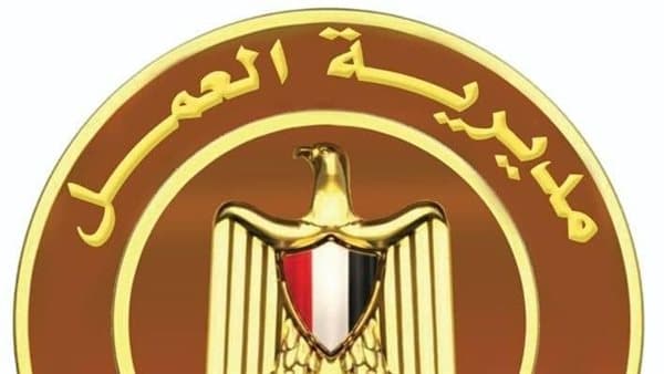 بنى سويف: تحرير 77 محضر وتعيين 1424 بالقطاع الخاص
