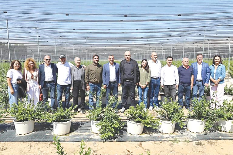 Hani from Beqaa Links Agriculture, Market