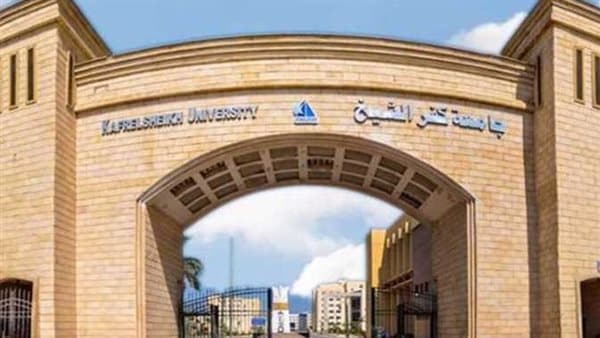 24 علماء من كفر الشيخ ضمن أعلى العلماء استشهادا