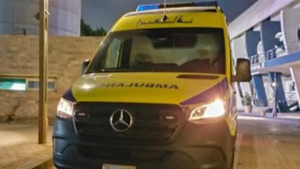 مشاجرة عائلتين تودي بحياة 8 أشخاص في سوهاج