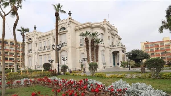 جامعة عين شمس ترد على قطع الأشجار في كلية التجارة