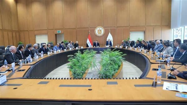 إعادة تسمية وتطوير قوانين جامعة حلوان التكنولوجية