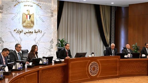 رئيس الوزراء يوجه بحظر قطع الأشجار دون استثناء