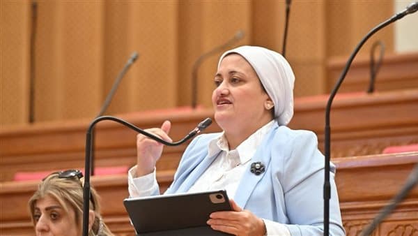 برلماني يطالب بحل لمشاكل مناهج المرحلة الابتدائية
