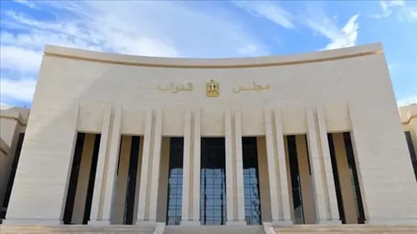 برلماني: 688 طالبًا بلا مقاعد في جامعة جنوب الوادي