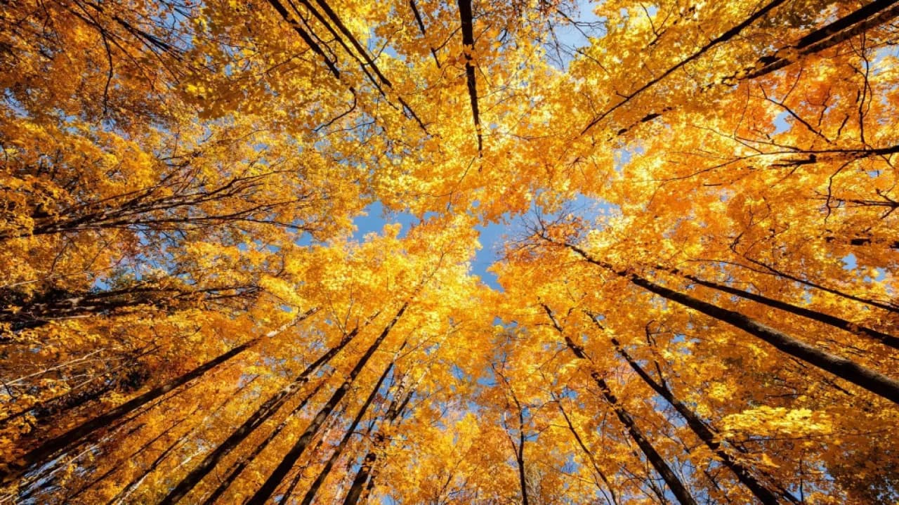 Jordan marks autumnal equinox