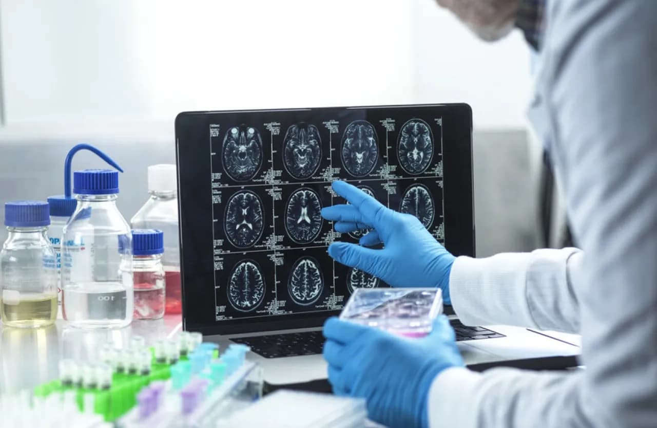 Alzheimer's blood vessel damage mechanism