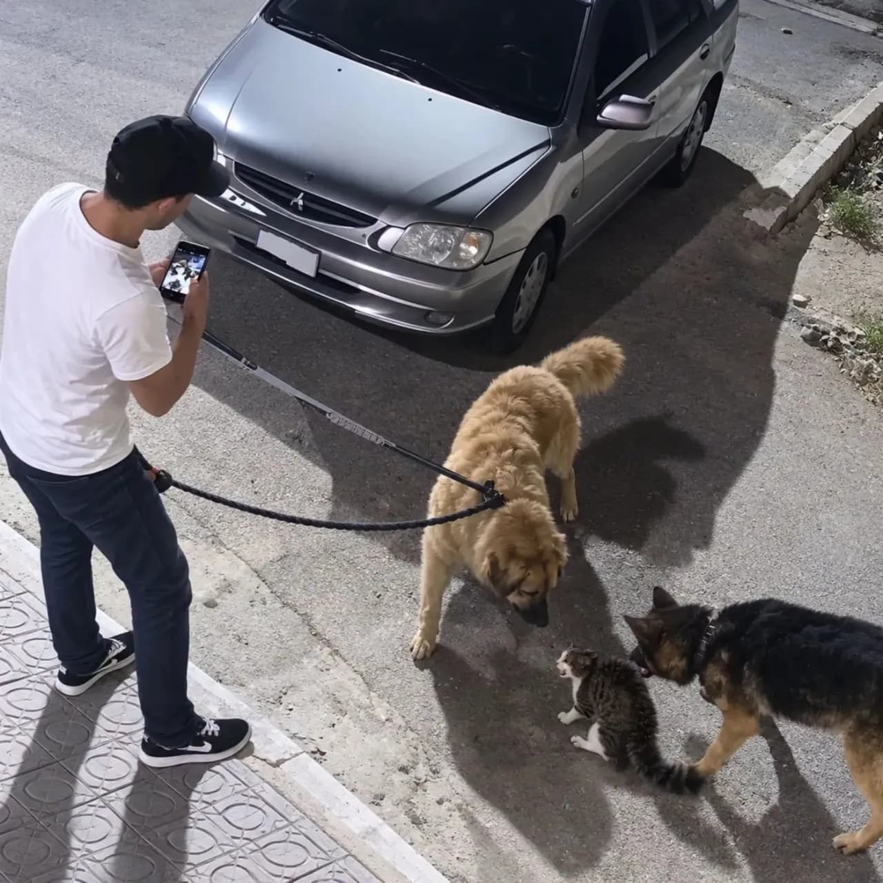 Jordan imposes punishment for dog attack