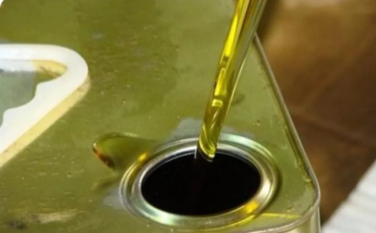 Jordan to open new olive oil mills from October 15