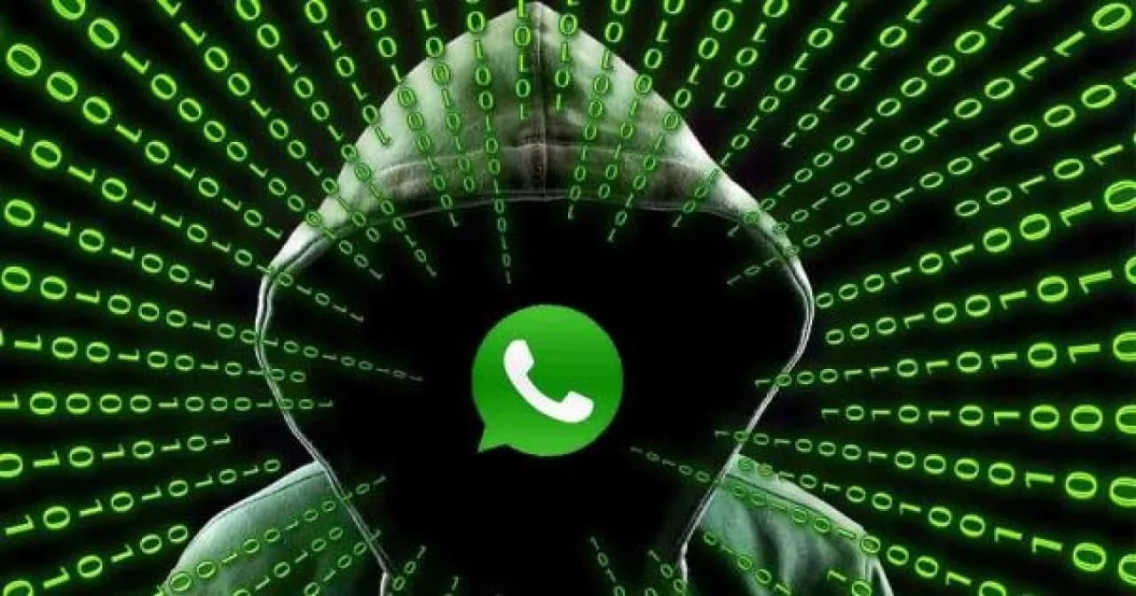 Jordan WhatsApp message costs merchant 310 dinars
