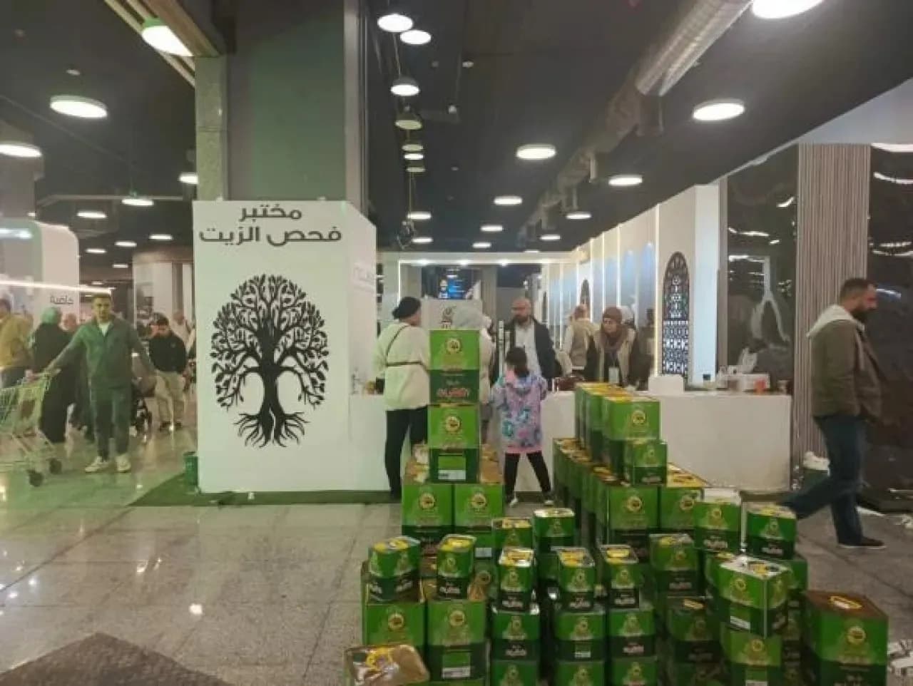 Jordan Extends Olive Festival Registration