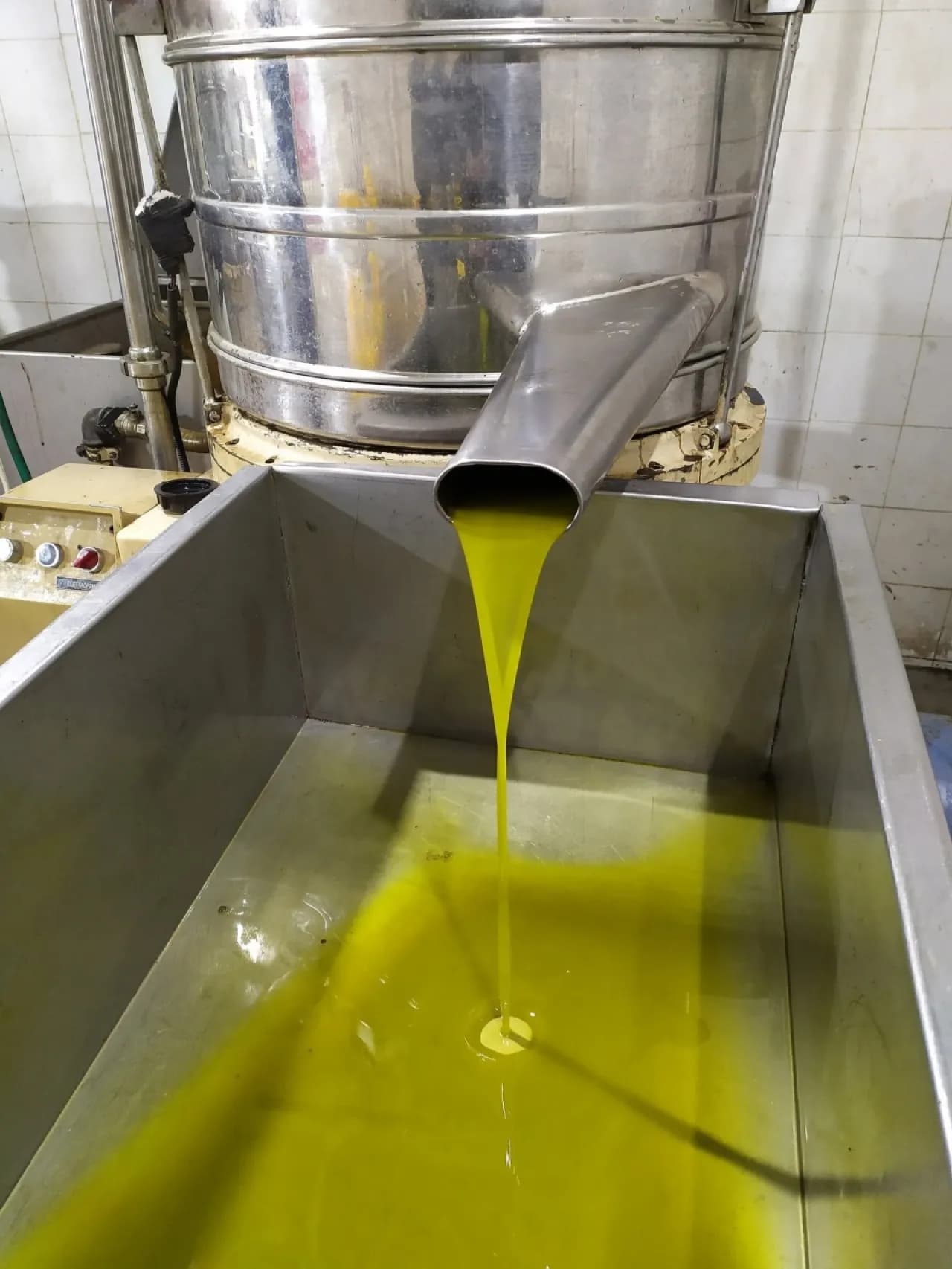 Olive Season Wage Rise and Jug Prices in Jordan