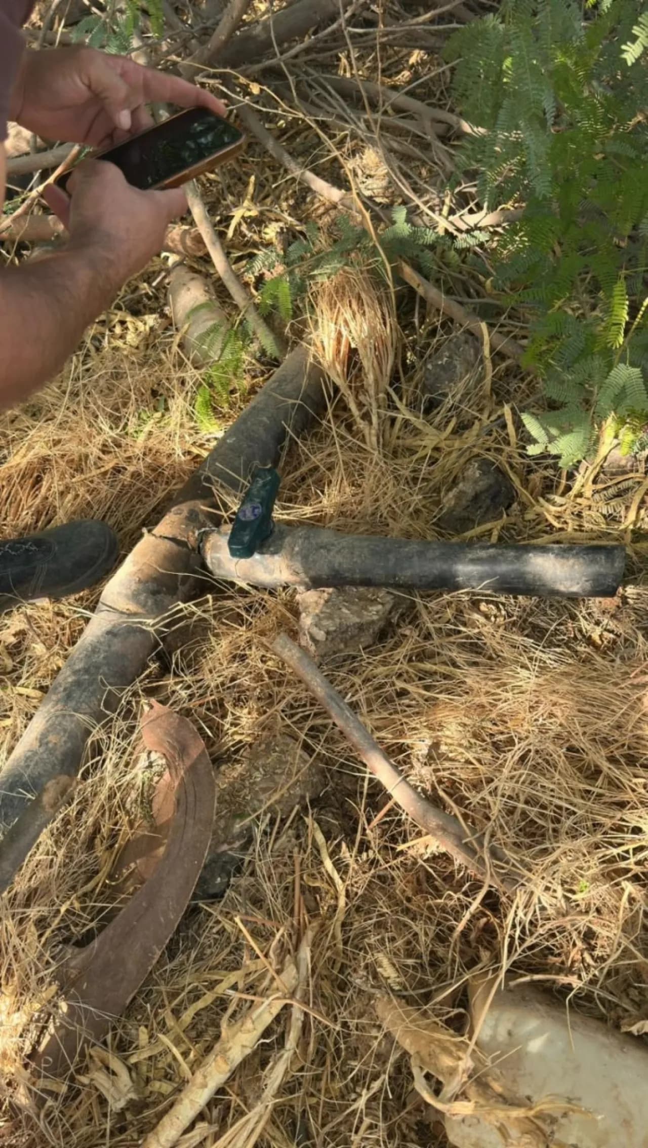 Eleven water violations in Al-Shouna Al-Janoubiyah