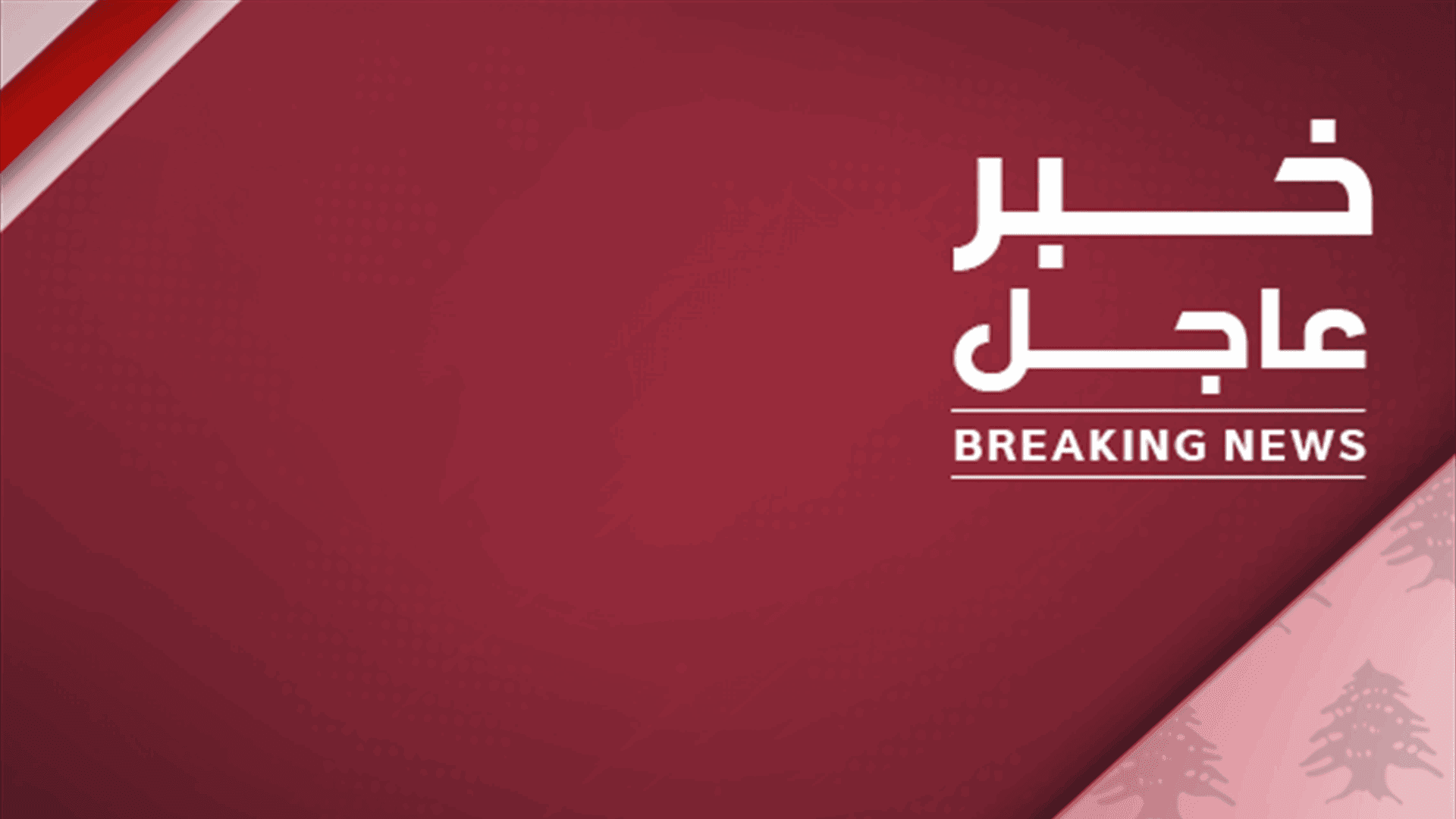 Iran enhances air defenses at Bushehr plant