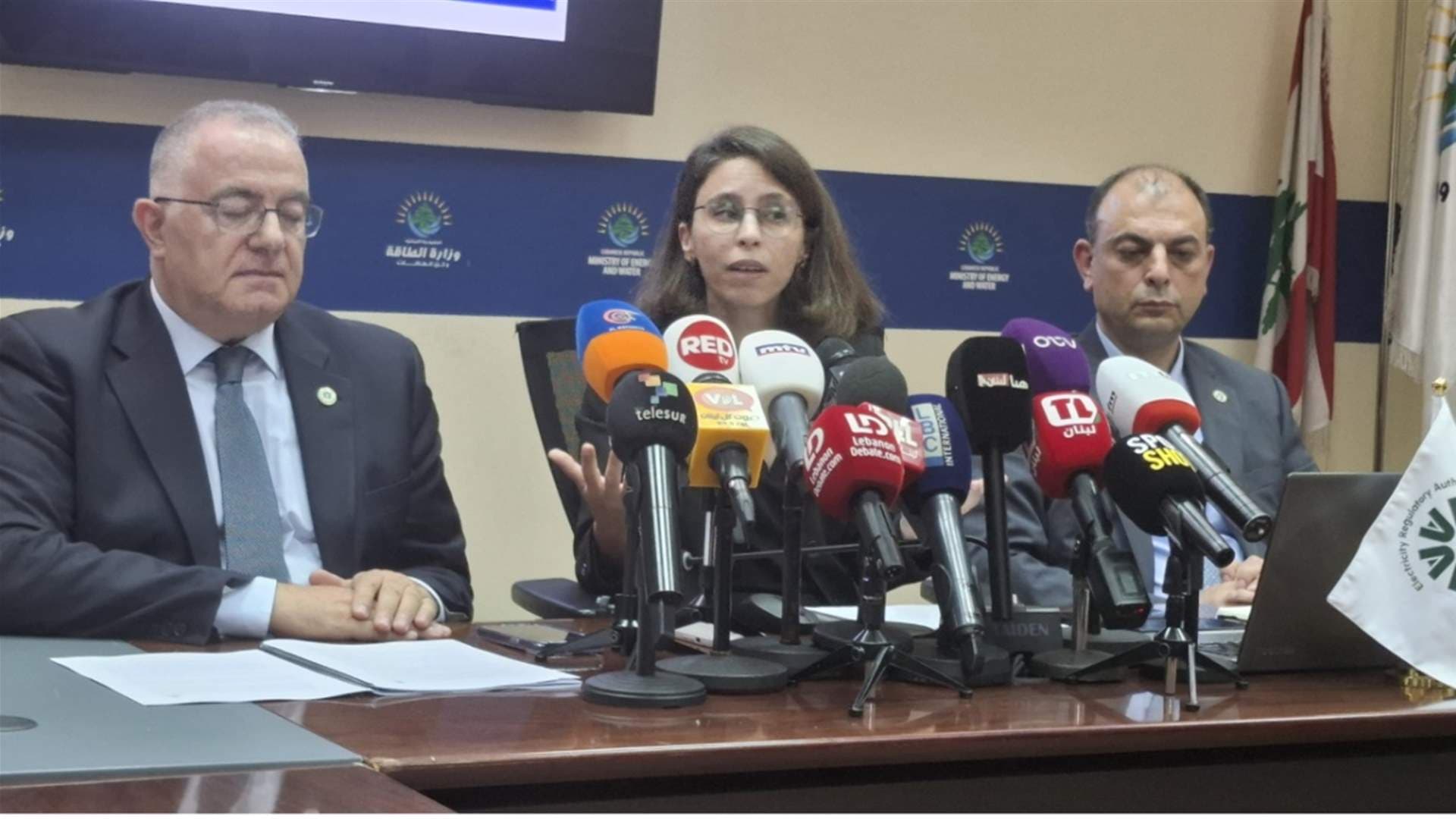 Electricity Sector Reform Framework