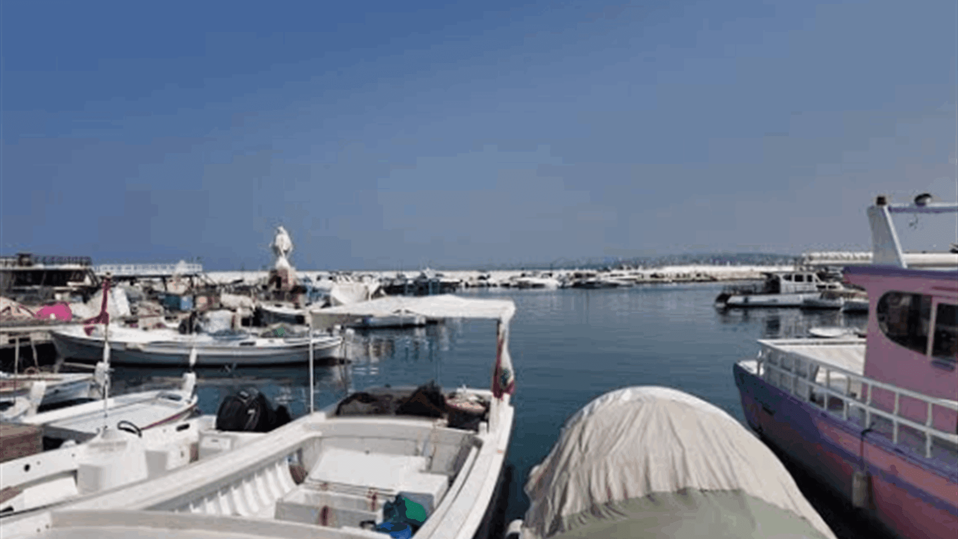 Lebanese Hunters oppose Marine Fishing Law