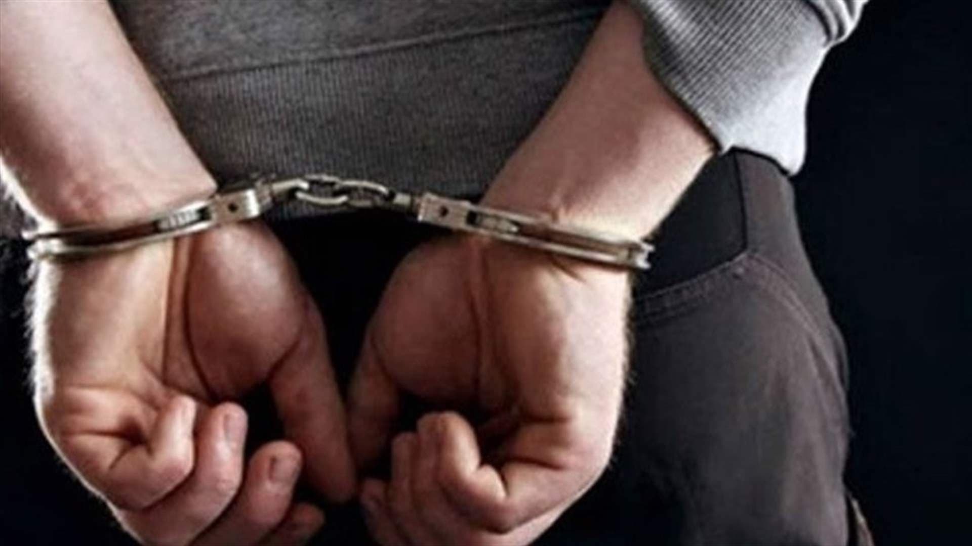 Mount Lebanon police arrest four in security ops