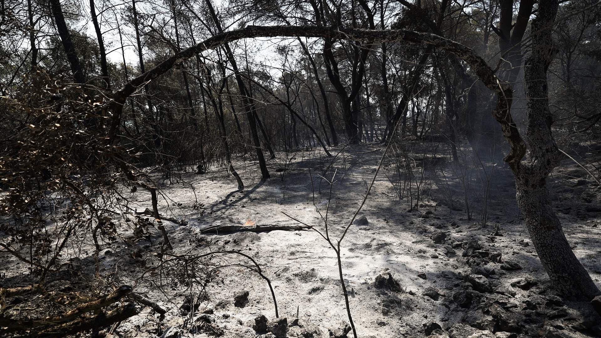 French officials tame largest wildfire