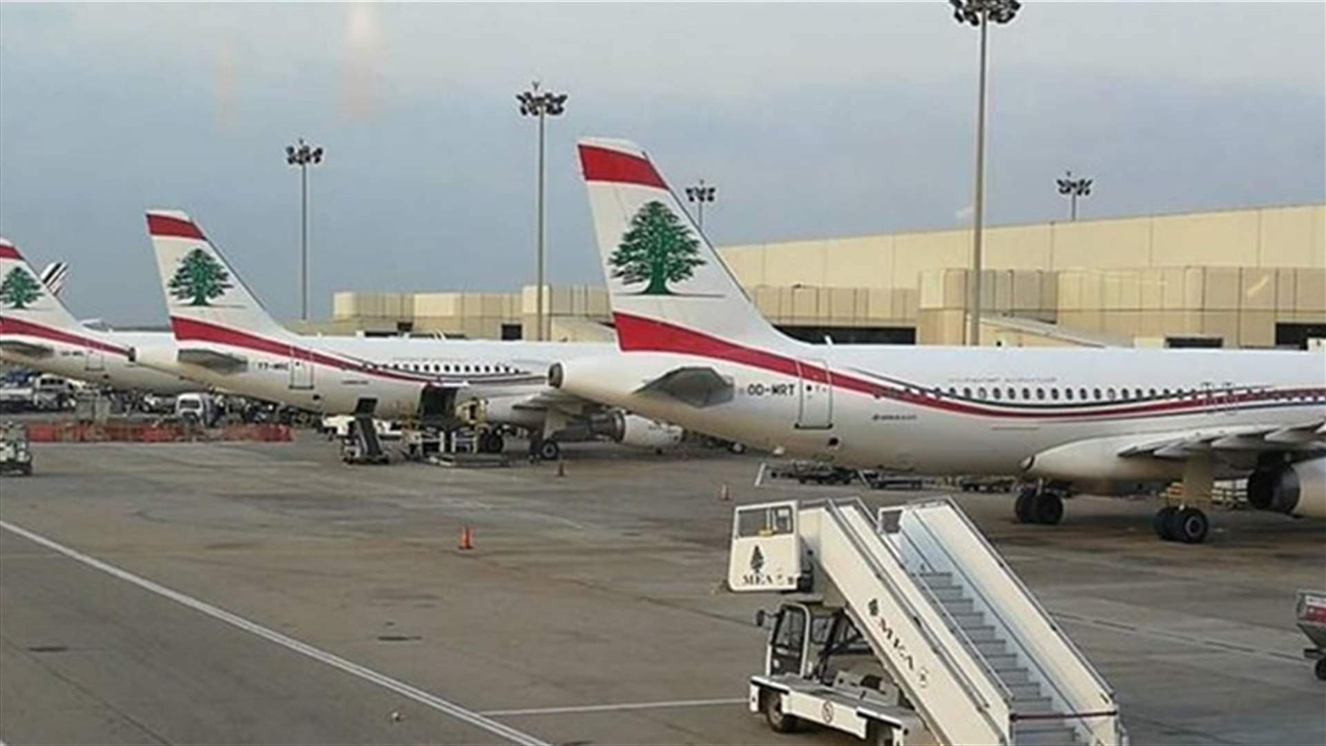 Beirut Airport Bird Issue Continues
