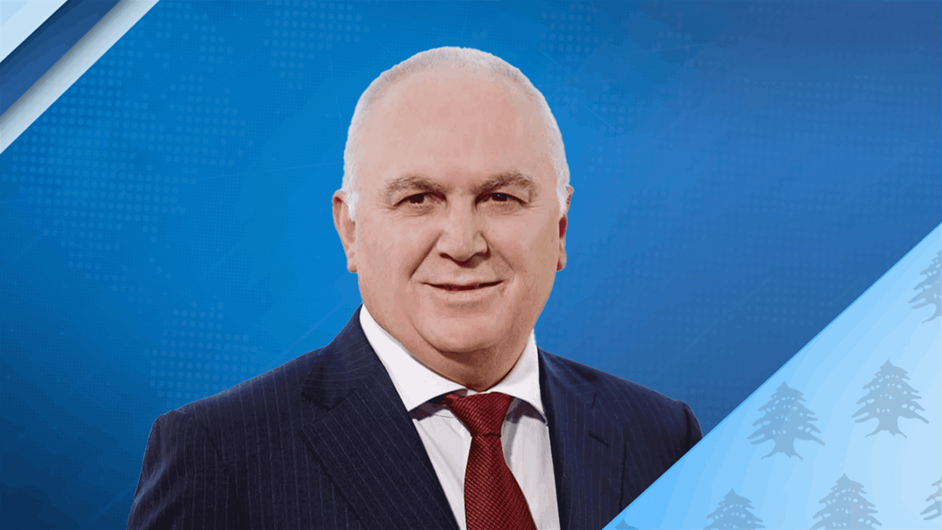 ضاهر يسأل الحكومة عن عفو القضاة الفاسدين