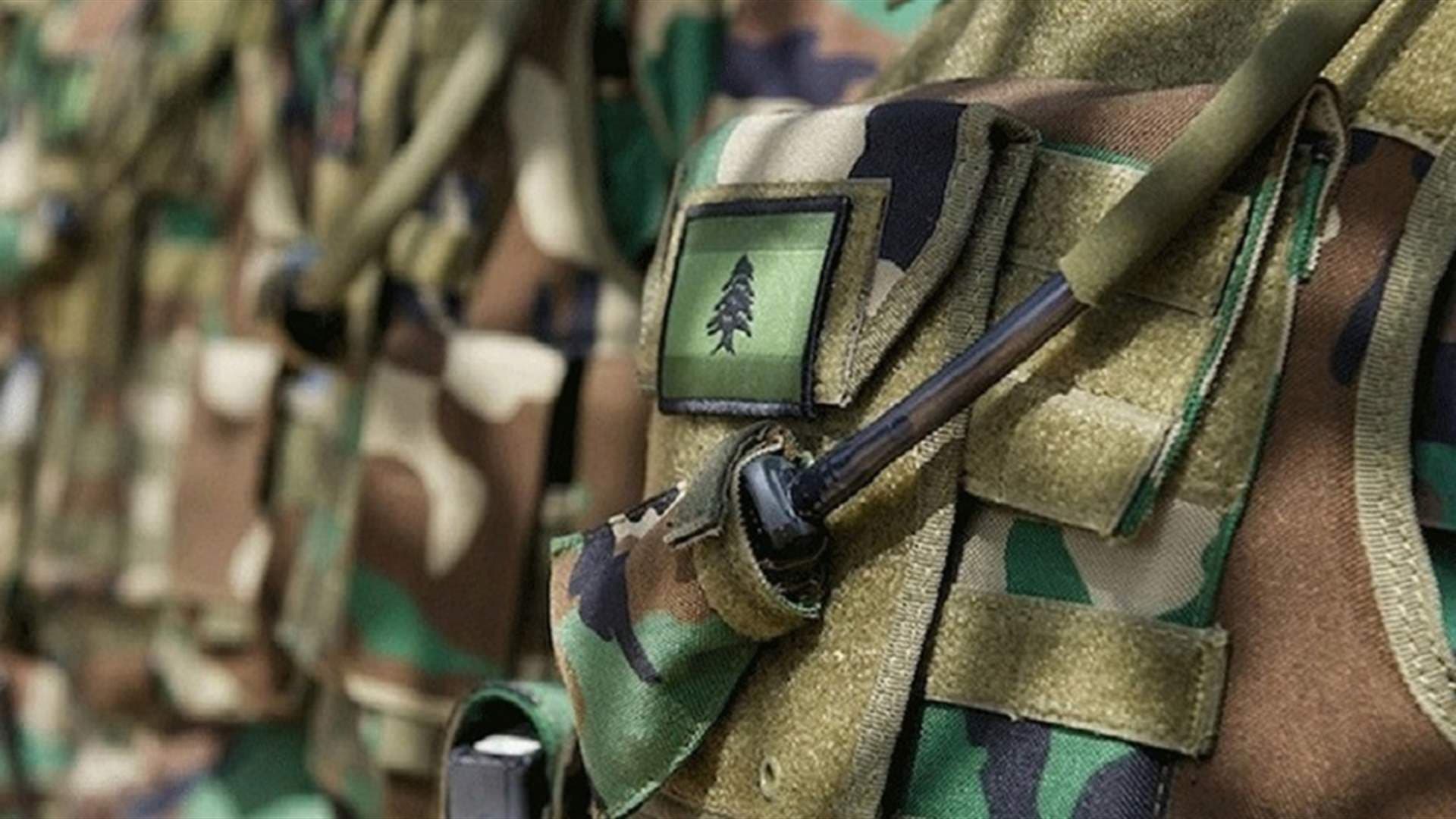 Paris Conference Aims to Support Lebanese Army