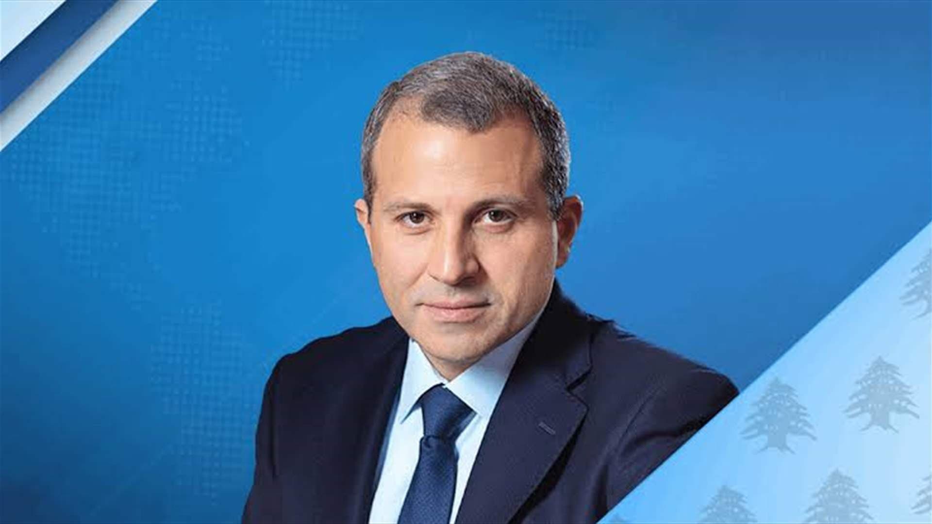 Bassil vows to oppose amnesty law to defend justice