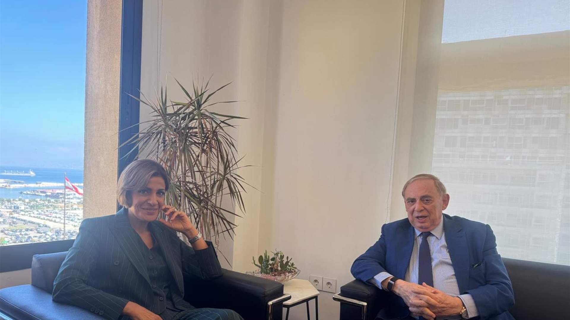 Al-Boustani discusses chemical issues in Marj Bseire
