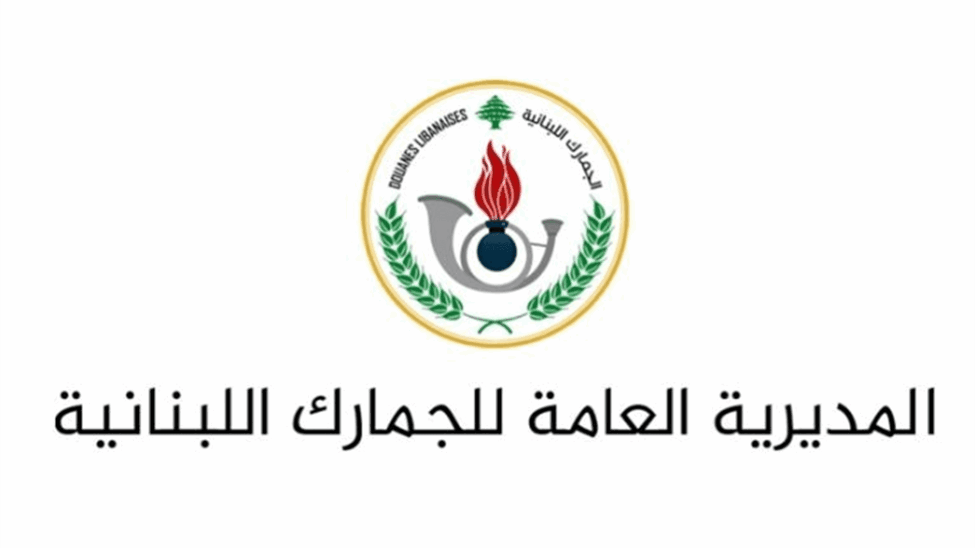 Customs intercept smuggled cosmetic injections in Beirut