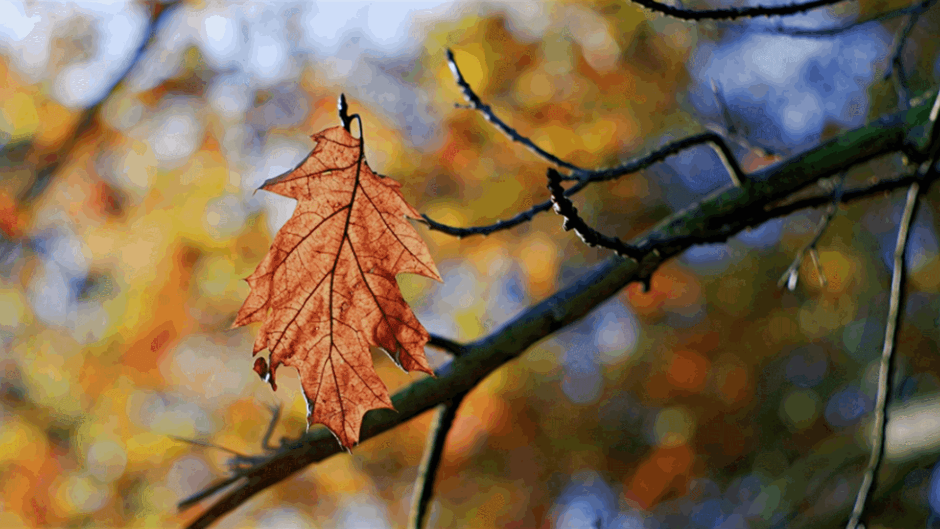 Weather stable until Sunday afternoon