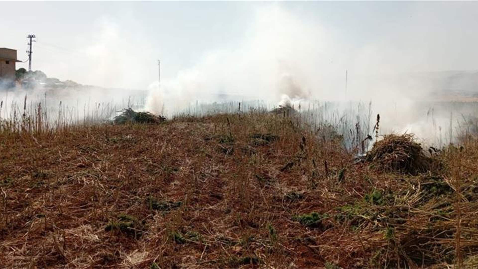 Army burns 60 dunams of Cannabis in Bechouata