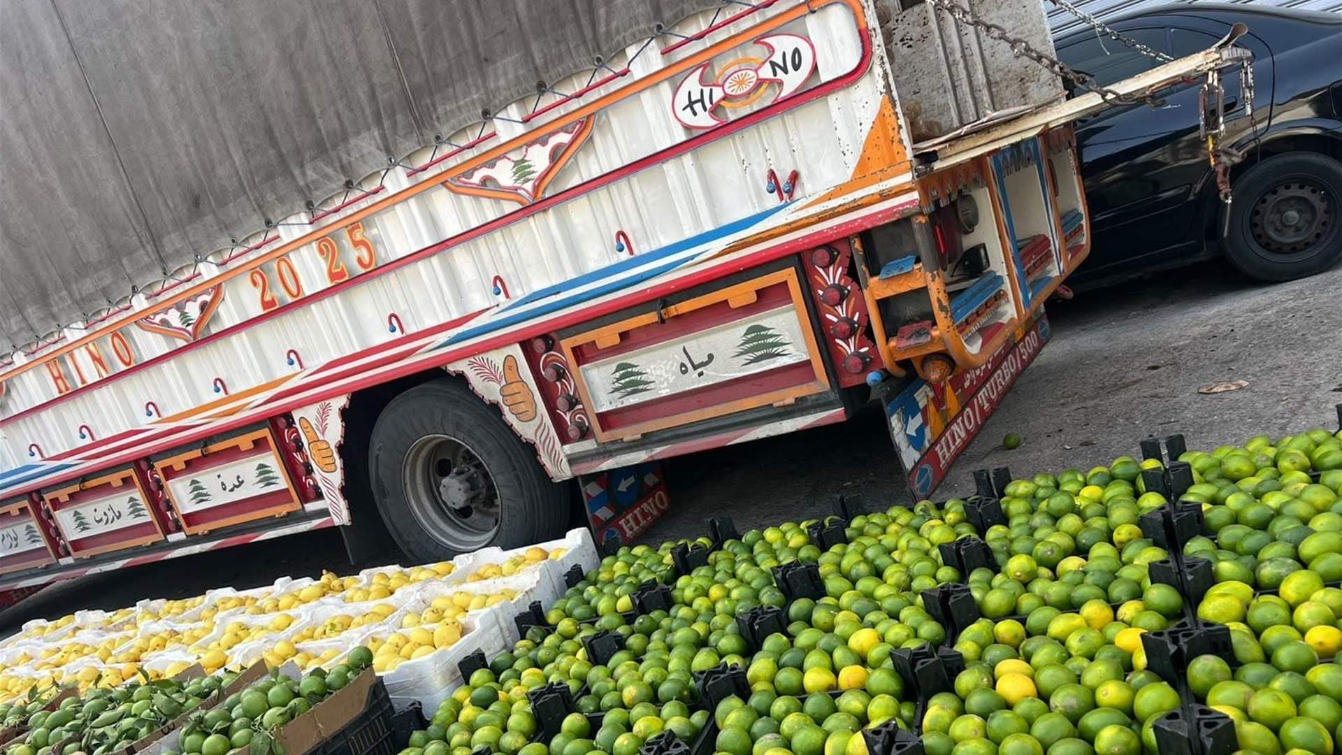 Customs confiscate smuggled Syrian lemons