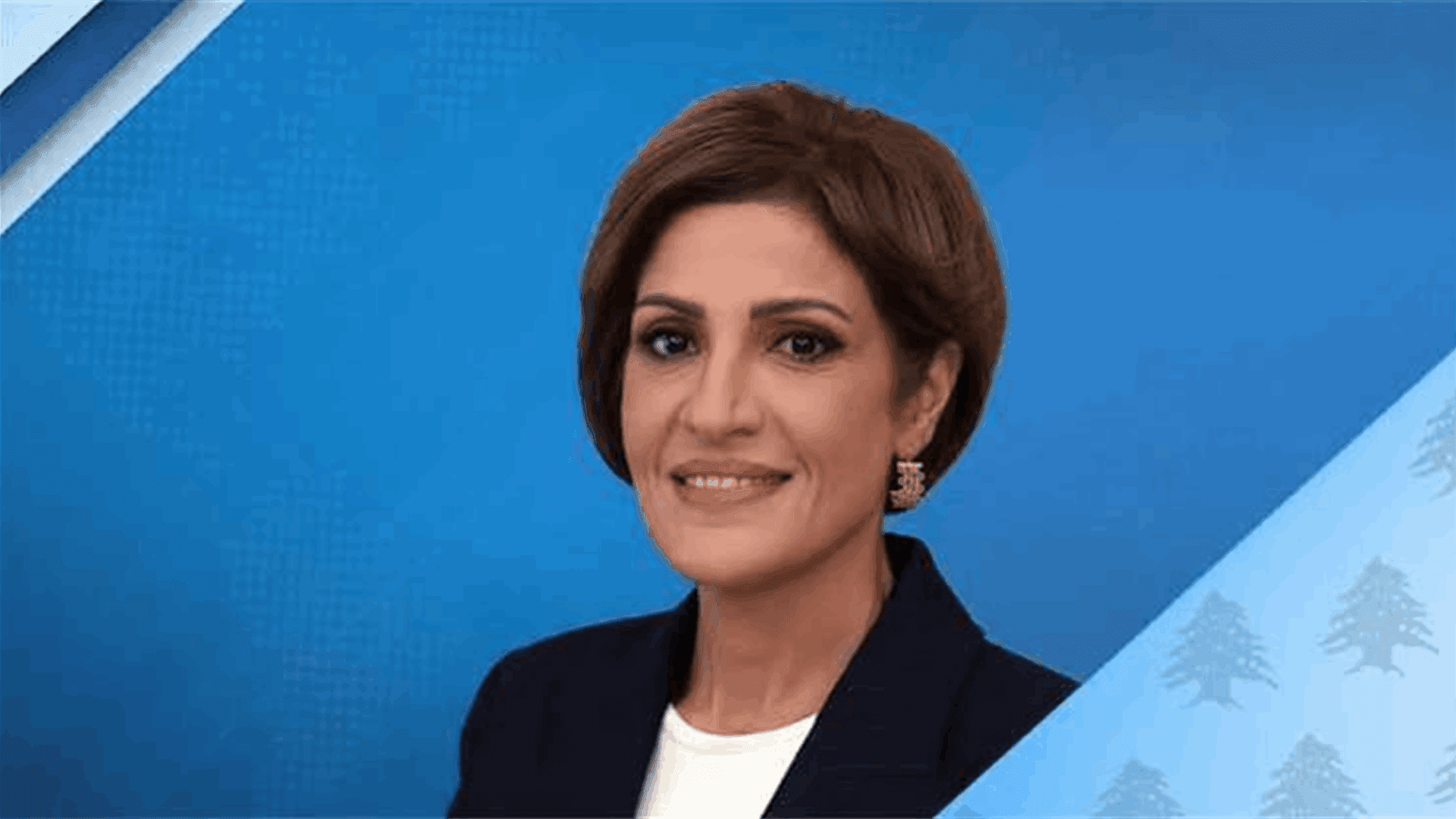 Al-Zein affirms protection of areas and calls for accurate map updates