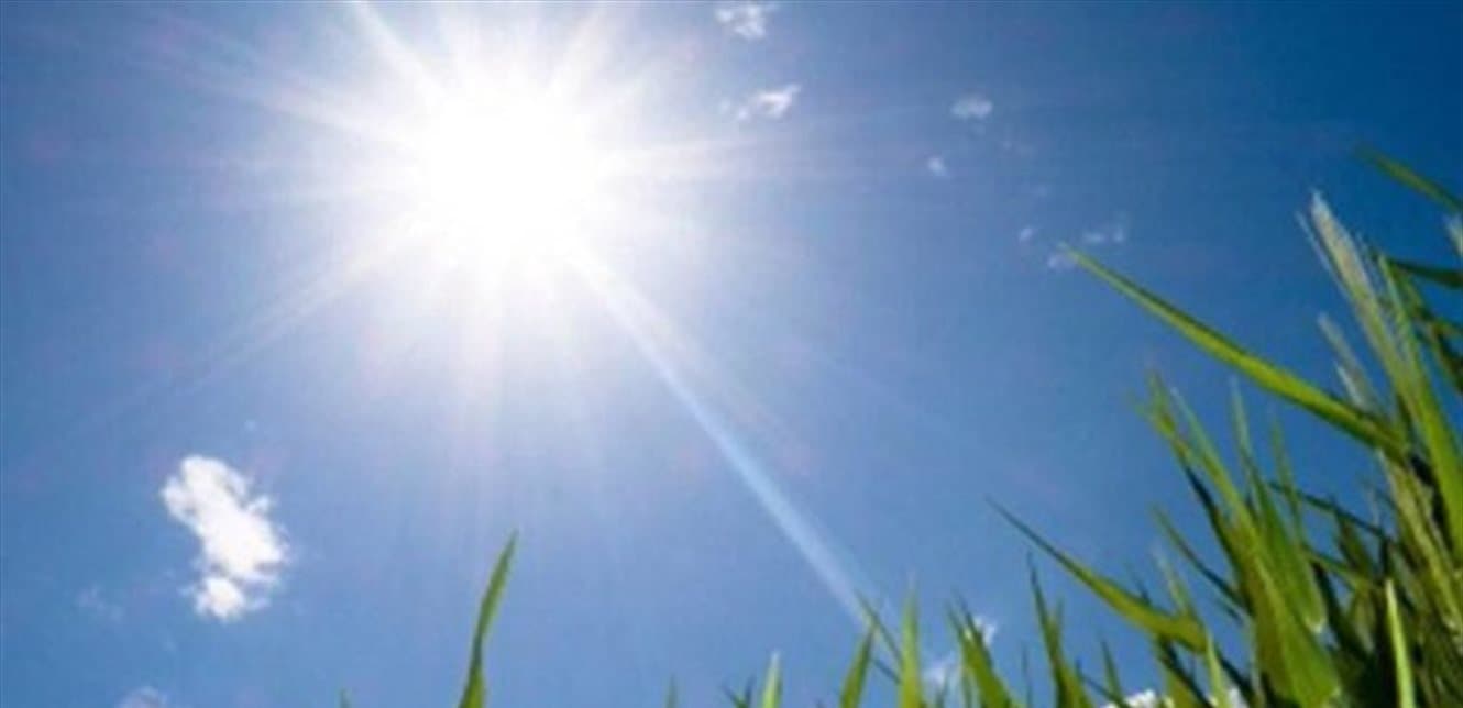 Weather outlook: fog and stable temps